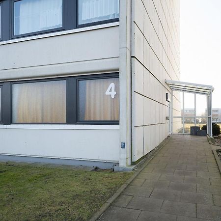 Stranddistel 4 Hafenkoje Burgtiefe auf Fehmarn Esterno foto